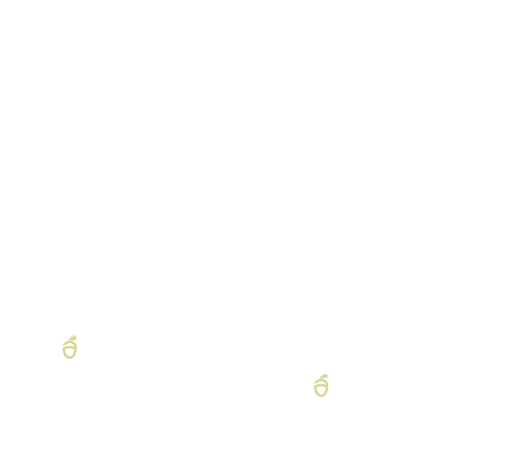 Map of Canada highlighting Acorn Strategy locations in Vancouver and Toronto.