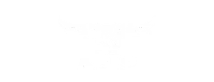 Asio Gear Client Logo 