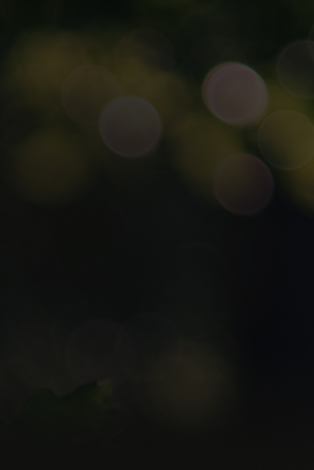 Oak tree symbolizing growth for Acorn Strategy, a Shopify web design and marketing agency